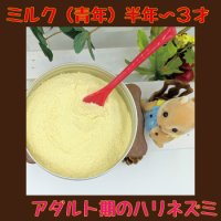 （２個セット）ハリネズミのためのミルク・アダルト期（半歳〜３才）（おなかを壊さない乳糖ぬき）