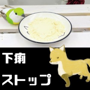 画像1: ハリネズミの下痢ストップ【下痢】