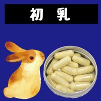 ハリネズミのための初乳【免疫・感染・トランスファーファクター】(無乳糖)