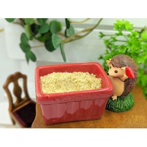 画像4: ハリネズミの流動食（がん・ふらつき・闘病の子むき）【おやつ・介護・メインフード】グルテンフリー