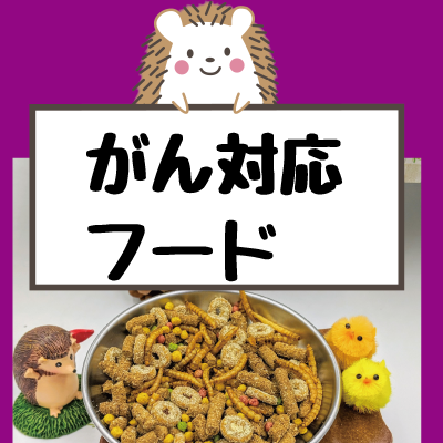 はりねずみの「ガン」に対応のフード（予防もOK）