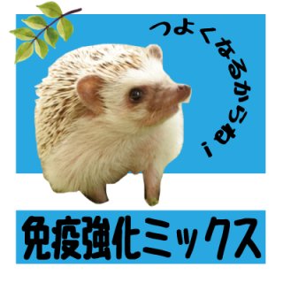 はりねずみ様 ご確認ページ 園芸ネット本店｜WooBia：右上向きハリネズミ（H19111-1） の通販【公式】